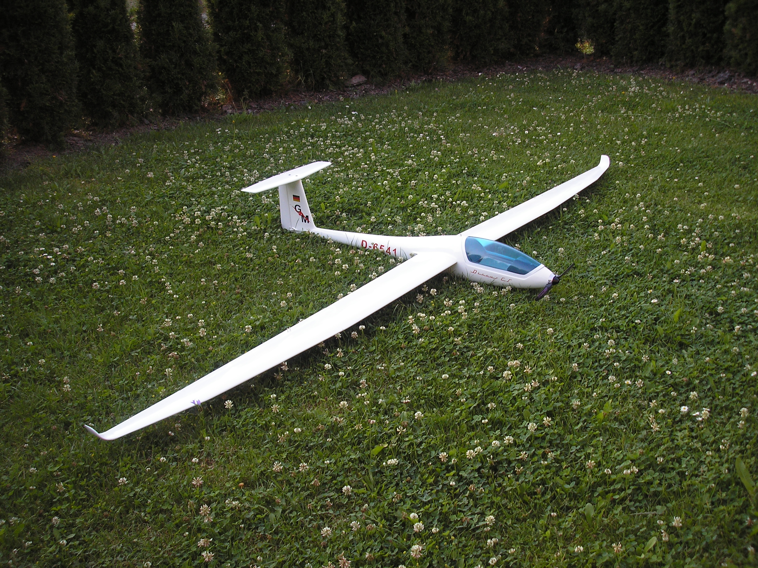 Discus cs 1